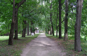 Природа в Большое Болдино, Россия. Фото 2 – фотографии России