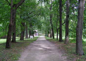 Природа в Большое Болдино, Россия. Фото 2 – фотографии России