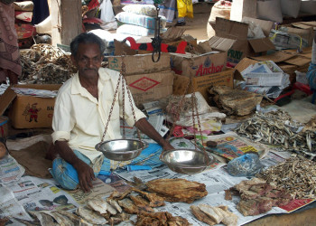 Дамбулла, Шри-Ланка, фото № 51071 – фотографии Шри-Ланки