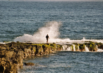 Реюньон, фото № 355 – фотографии Реюньона