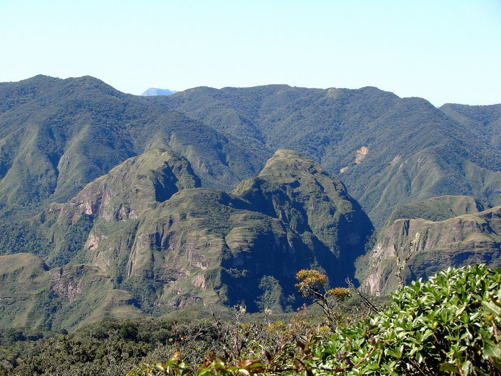 Парк Амборо в центральной части Боливии – фотографии Боливии