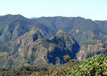 Парк Амборо в центральной части Боливии – фотографии Боливии