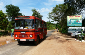 Хабарана, Шри-Ланка, фото № 52484 – фотографии Шри-Ланки
