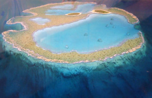 Бразильский атолл Рокас (Atol das Rocas) – фотографии Бразилии