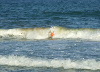 Албена, Болгария, фото № 26408 – фотографии Болгарии