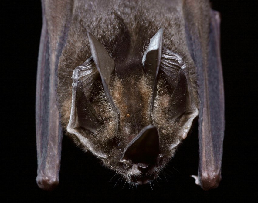 Французская Гвиана, фото № 2126 – фотографии Французской Гвианы