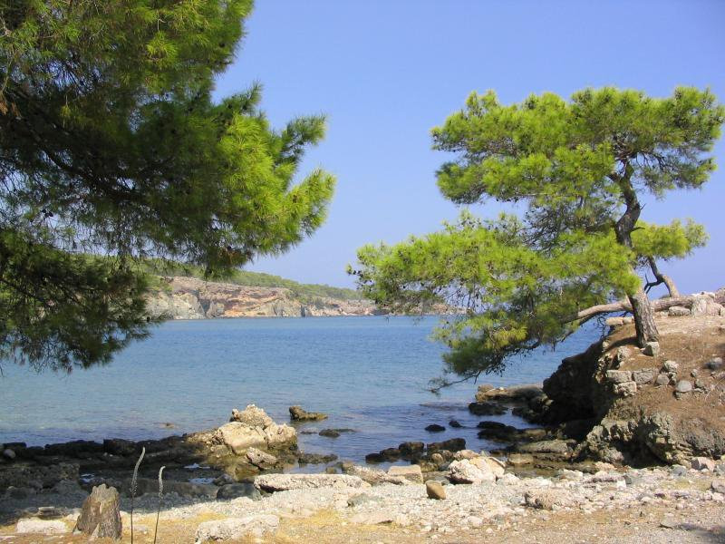 Кемер, Средиземноморский регион, Турция, фото № 47237 – фотографии Турции