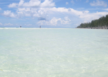 Море на острове Гранд Багама, Багамские острова. Фото 4 – фотографии Багамских островов