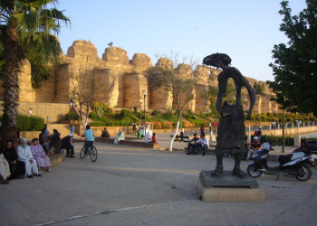 Мекнес, Марокко, фото № 7796 – фотографии Марокко