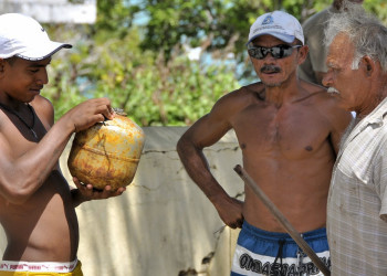 Бразилия, фото № 1533 – фотографии Бразилии