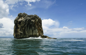 Санта Роза Национальный Парк, Гуанакасте провинция, Коста-Рика, фото № 39349 – фотографии Коста-Рики