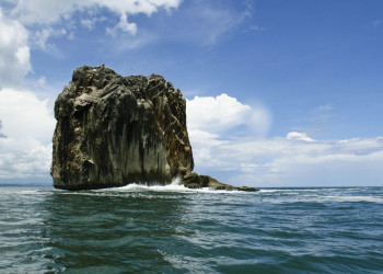 Санта Роза Национальный Парк, Гуанакасте провинция, Коста-Рика, фото № 39349 – фотографии Коста-Рики