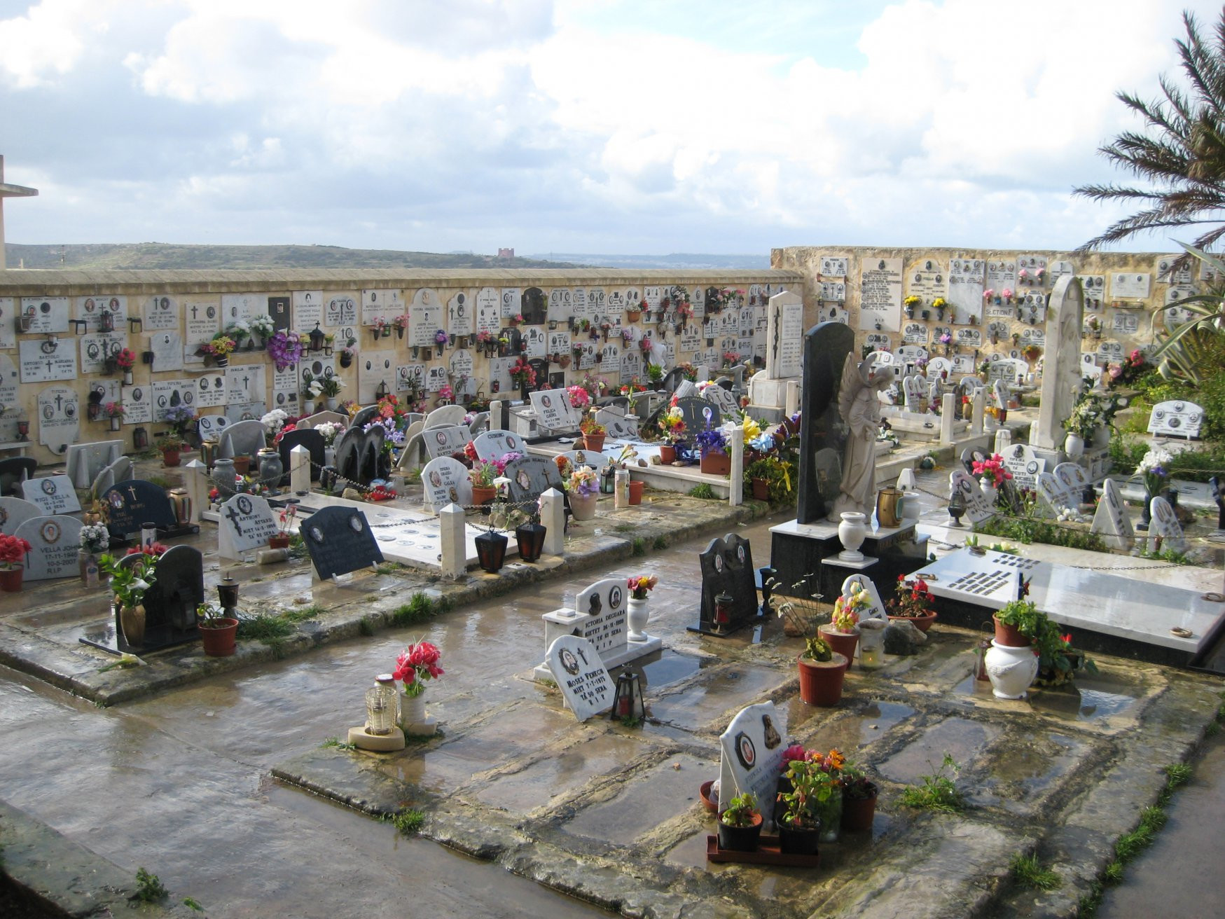 Меллиха, Мальта остров, Мальта, фото № 42626 – фотографии Мальты