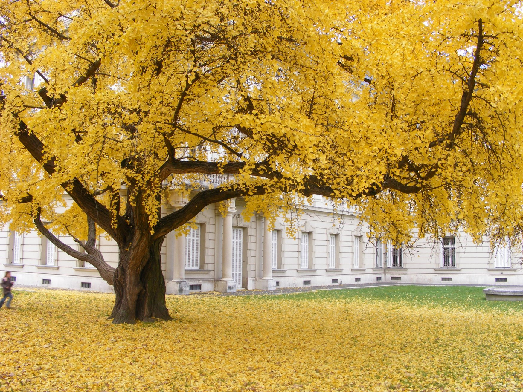 Кестхей, Балатон озеро, Венгрия, фото № 69812 – фотографии Венгрии