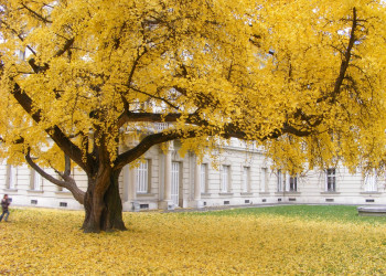 Кестхей, Балатон озеро, Венгрия, фото № 69812 – фотографии Венгрии
