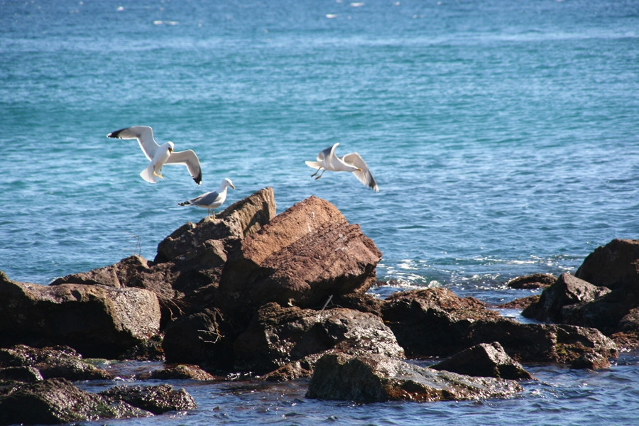Море в Манделье-ля-Напуль, Франция. Фото 5 – фотографии Франции
