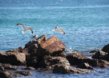 Море в Манделье-ля-Напуль, Франция. Фото 5 – фотографии Франции