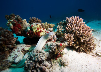 Хургада, Египет, фото № 35504 – фотографии Египта