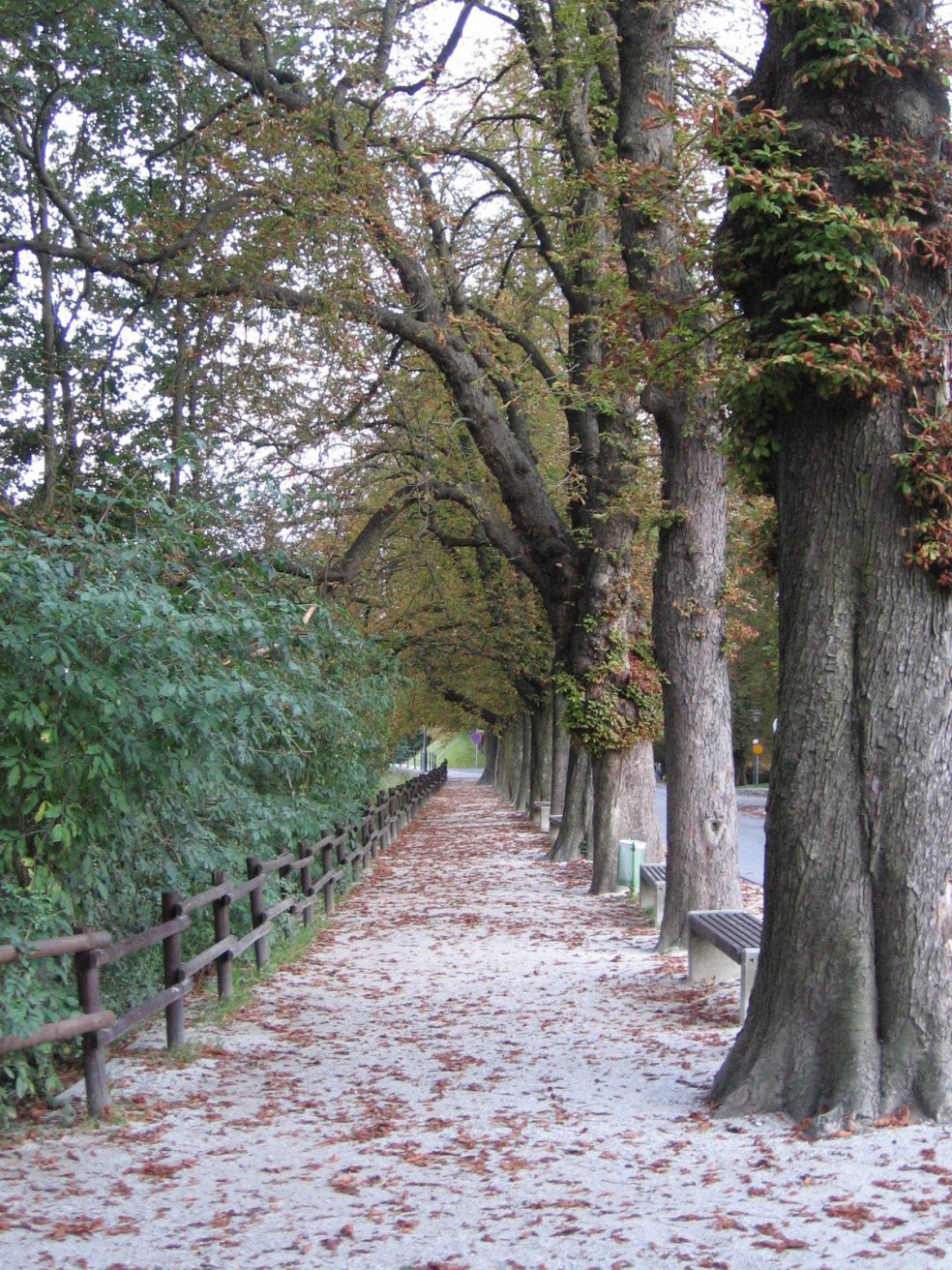 Любляна, Словения, фото № 57231 – фотографии Словении