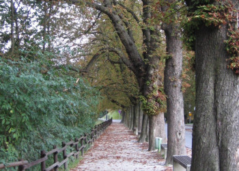 Любляна, Словения, фото № 57231 – фотографии Словении