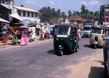 Тангалле, Шри-Ланка, фото № 52363 – фотографии Шри-Ланки