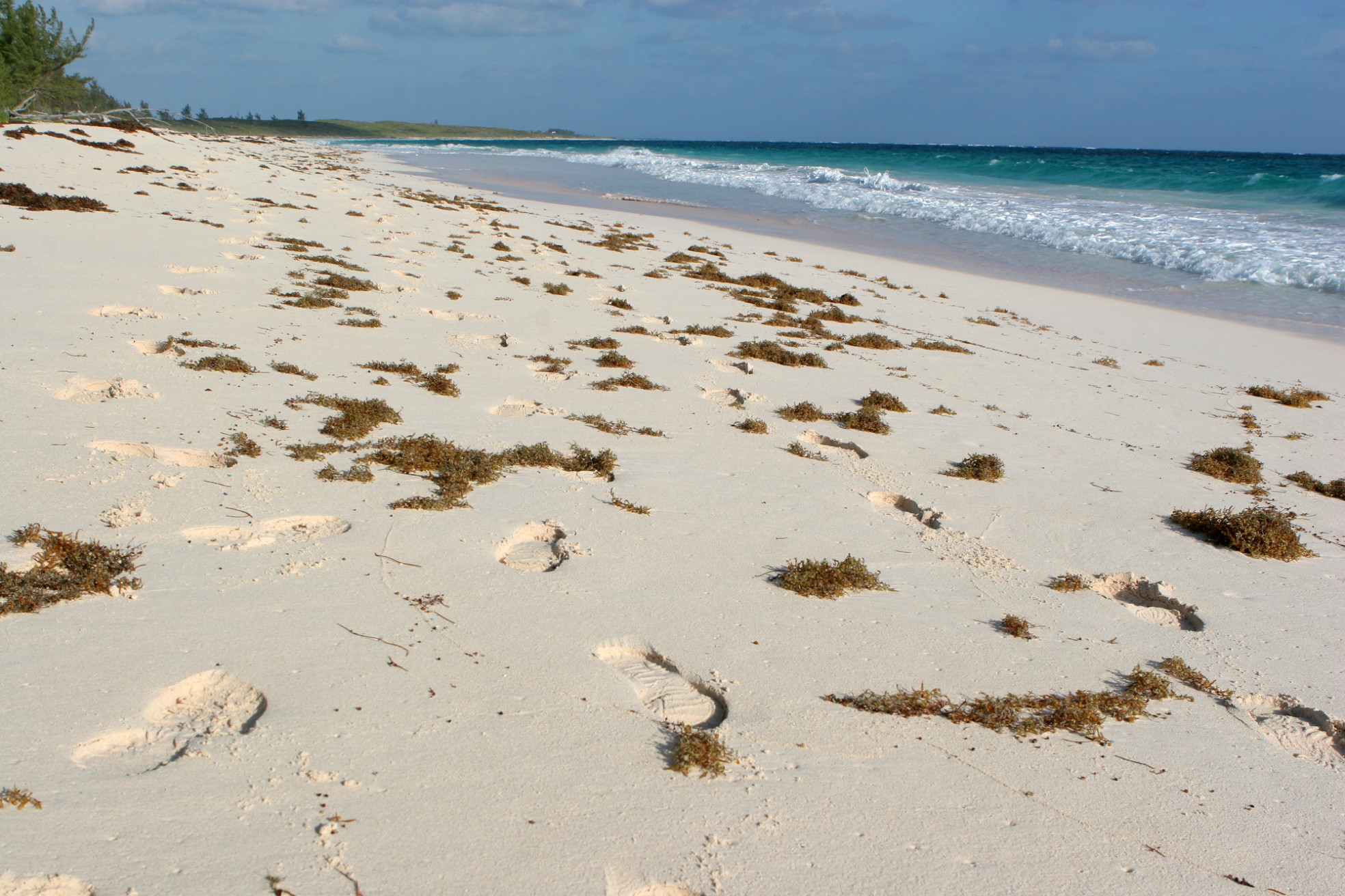 Розовый пляж на острове, Багамские острова. Фото 32 – фотографии Багамских островов