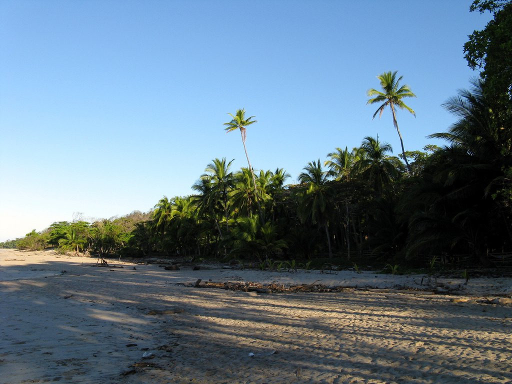 Плайя Санта Тереса, Пунтаренас провинция, Коста-Рика, фото № 40948 – фотографии Коста-Рики