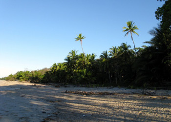 Плайя Санта Тереса, Пунтаренас провинция, Коста-Рика, фото № 40948 – фотографии Коста-Рики