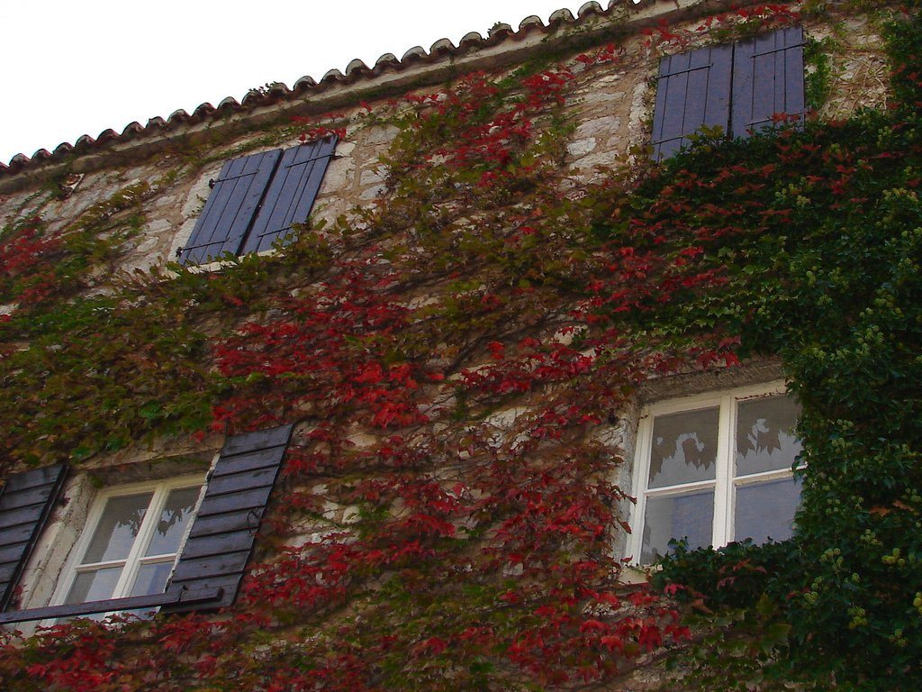 Дома в Святой Стефан, Черногория. Фото 15 – фотографии Черногории