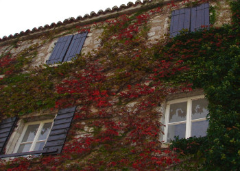 Дома в Святой Стефан, Черногория. Фото 15 – фотографии Черногории