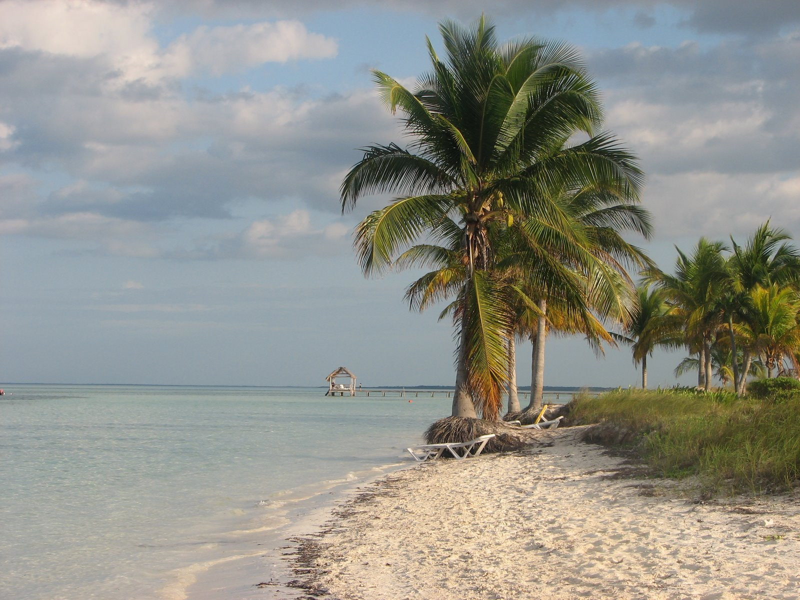Пальмы на пляже в Кайо-Коко, Куба. Фото – фотографии Кубы