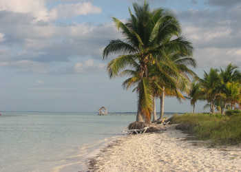 Пальмы на пляже в Кайо-Коко, Куба. Фото – фотографии Кубы