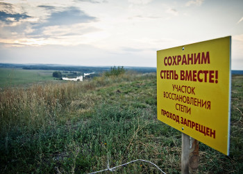 Дивногорье, Воронежская область. Фото 5 – фотографии России