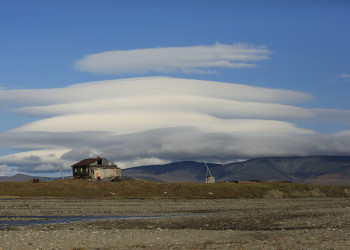 Остров Врангеля, Чукотский автономный округ. Фото 1 – фотографии России