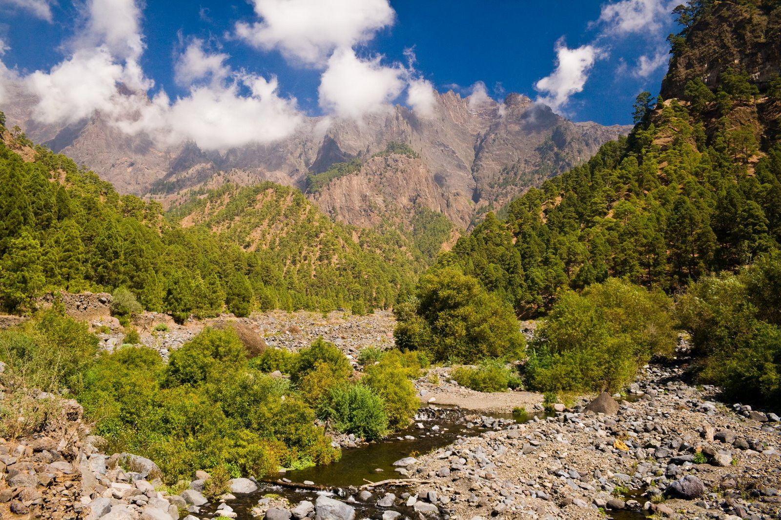 Ла-Пальма остров, Канарские острова, фото № 32031 – фотографии Канарских островов