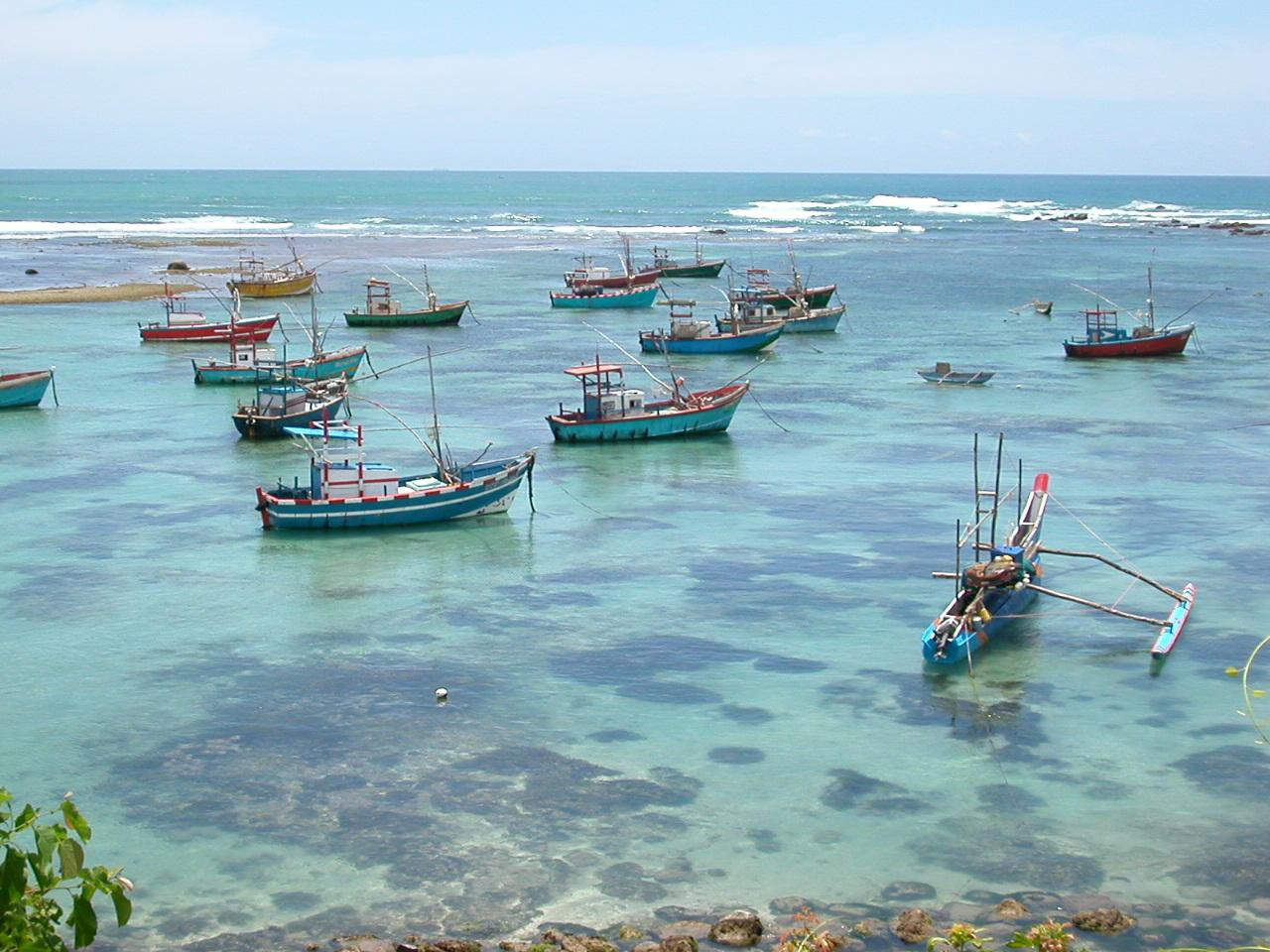 Велигама, Шри-Ланка, фото № 50830 – фотографии Шри-Ланки