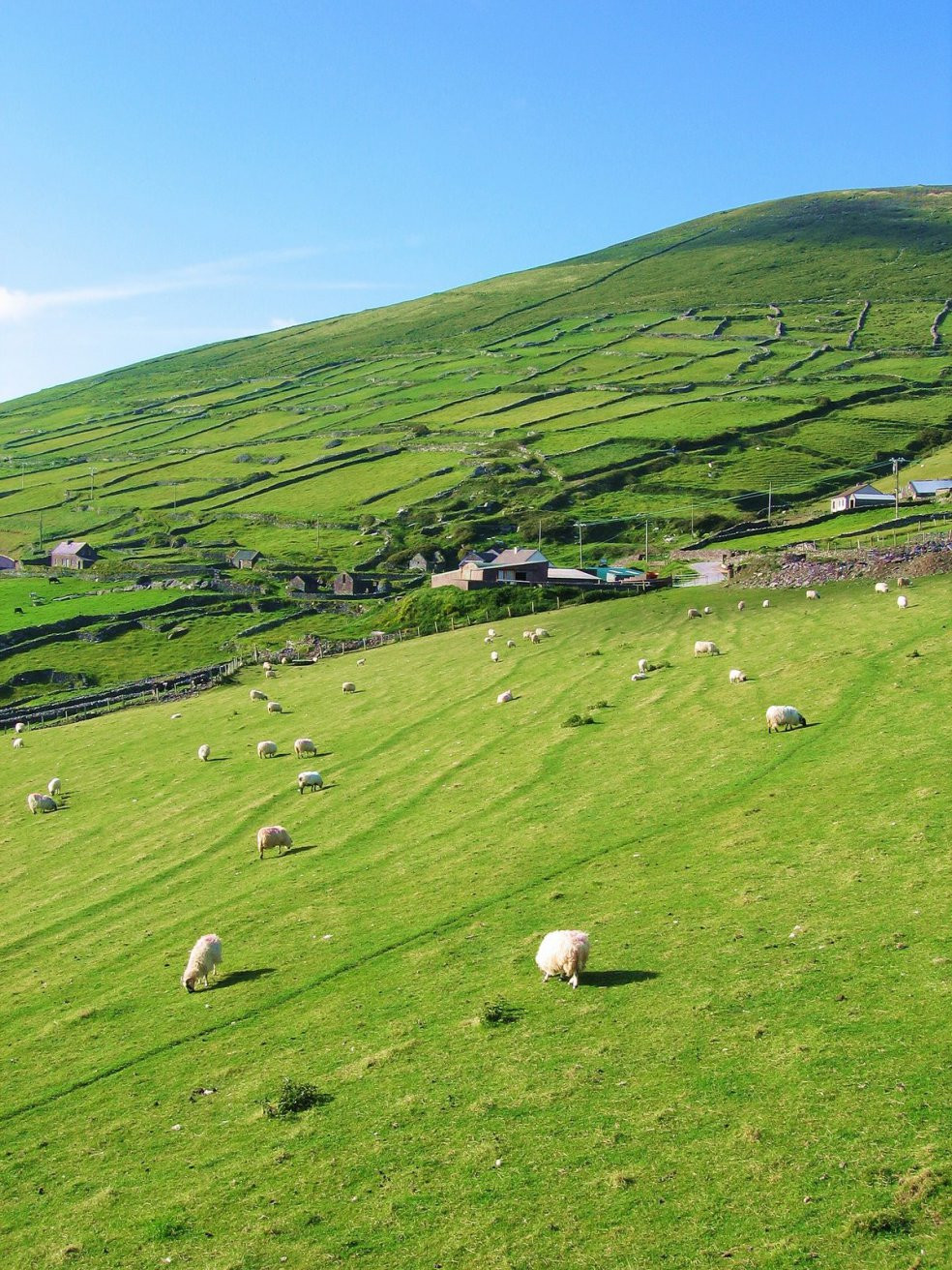 Ирландия, фото № 2560 – фотографии Ирландии