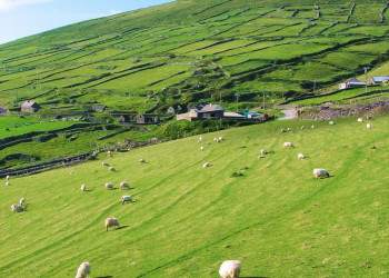 Ирландия, фото № 2560 – фотографии Ирландии