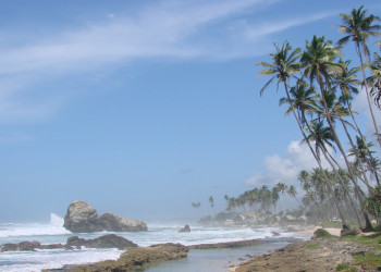 Коггала, Шри-Ланка, фото № 51557 – фотографии Шри-Ланки