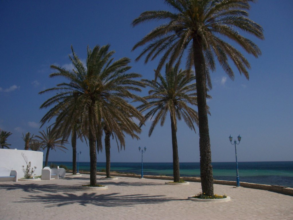 Набережная Северного Туниса. Фото 14 – фотографии Туниса