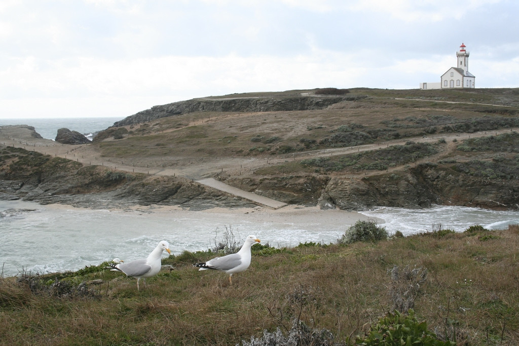 Берега в Бель-Иль, Франция. Фото 3 – фотографии Франции