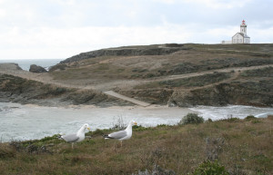 Берега в Бель-Иль, Франция. Фото 3 – фотографии Франции