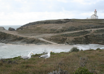 Берега в Бель-Иль, Франция. Фото 3 – фотографии Франции