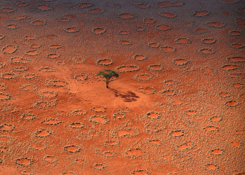 Загадочные круги в Намибии. Фото 4 – фотографии Намибии