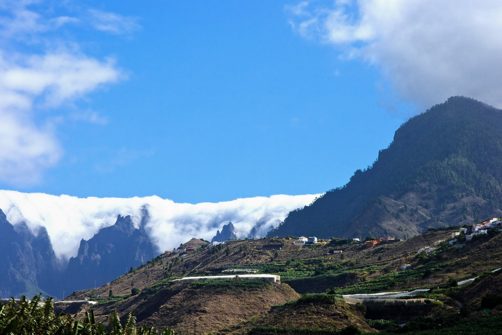 Ла-Пальма остров, Канарские острова, фото № 32064 – фотографии Канарских островов