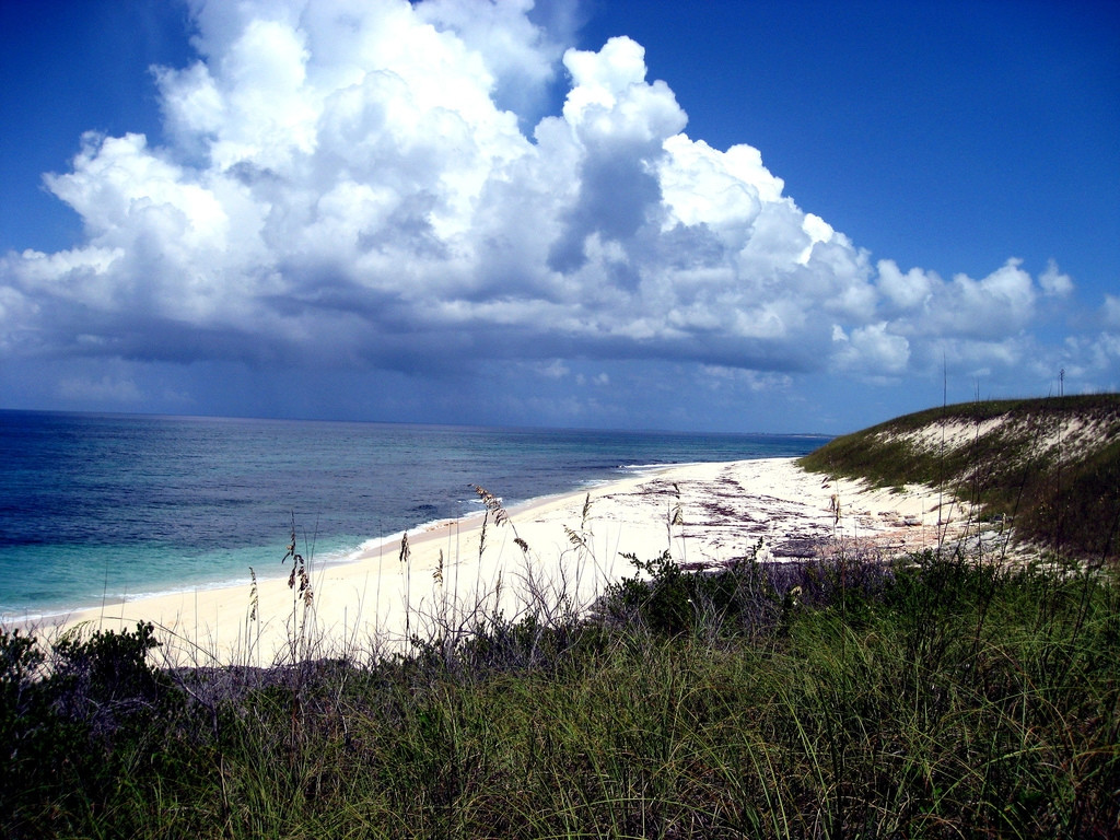 Берег острова Эльютера, Багамские острова. Фото 14 – фотографии Багамских островов