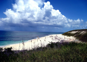 Берег острова Эльютера, Багамские острова. Фото 14 – фотографии Багамских островов