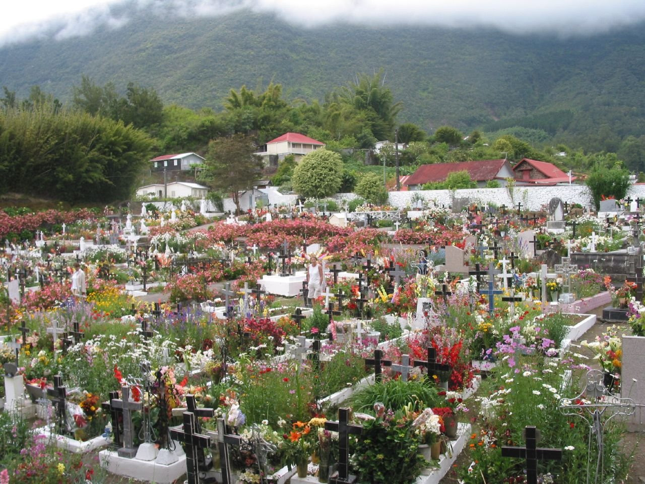 Салази, Реюньон, фото № 25811 – фотографии Реюньона