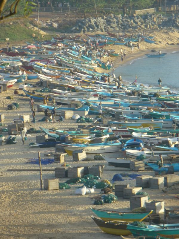 Хамбантота, Шри-Ланка, фото № 52504 – фотографии Шри-Ланки