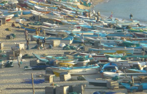 Хамбантота, Шри-Ланка, фото № 52504 – фотографии Шри-Ланки